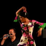 Online flamenco dance lessons