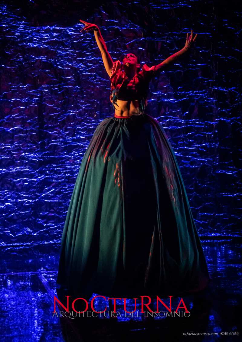 La Bailaora Rafaela Carrasco Premio Nacional De Danza All Flamenco