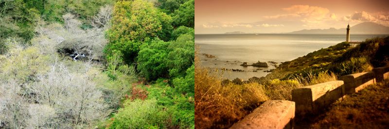 Río de la Miel y Faro de Punta Carnero, inspiraciones de Paco de Lucía. 