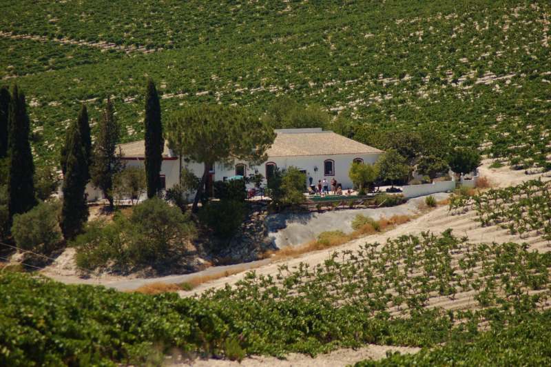 Santa Petronila es la bodega de Jerez más pequeña del mundo.