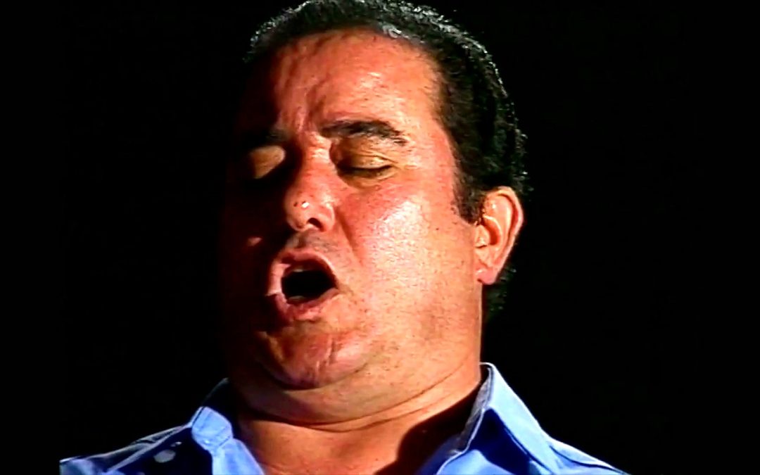 José Menese: the Cantaor Who Sang Against Franco