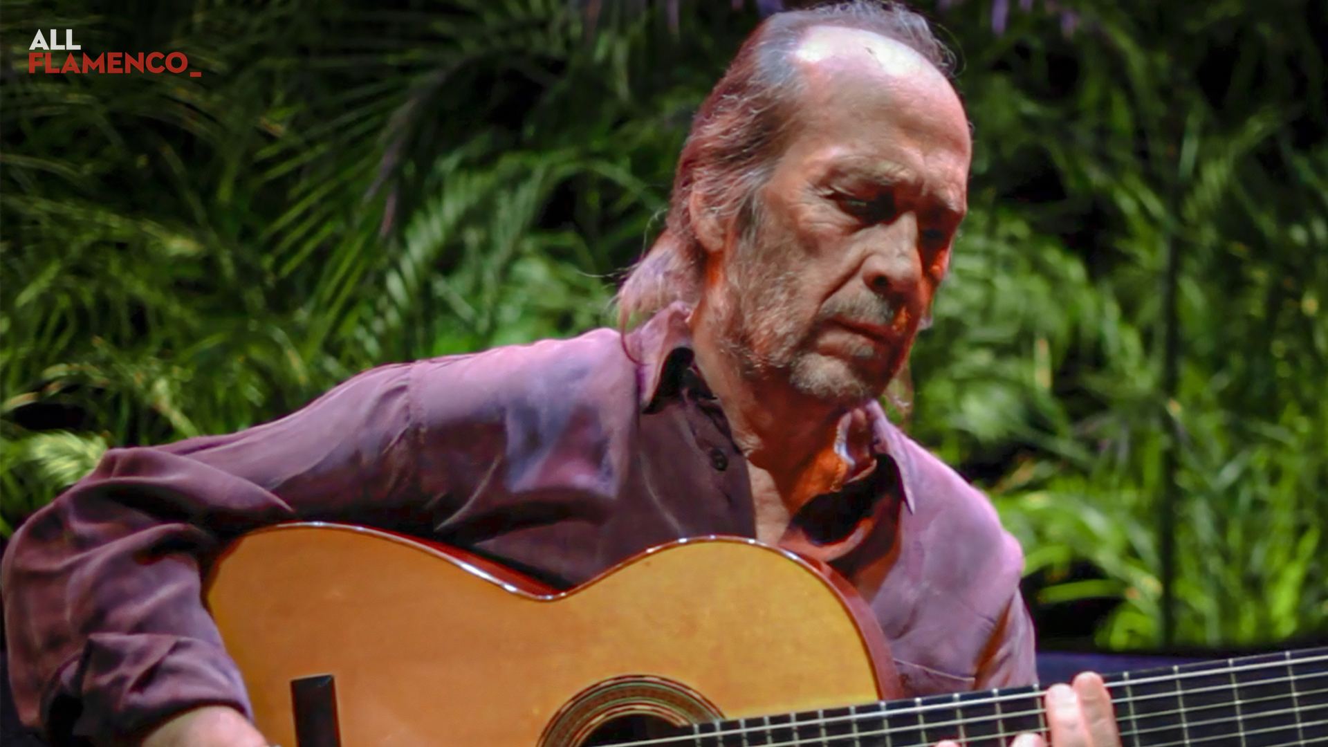 Paco de Lucía tocando la guitarra flamenca en un escenario