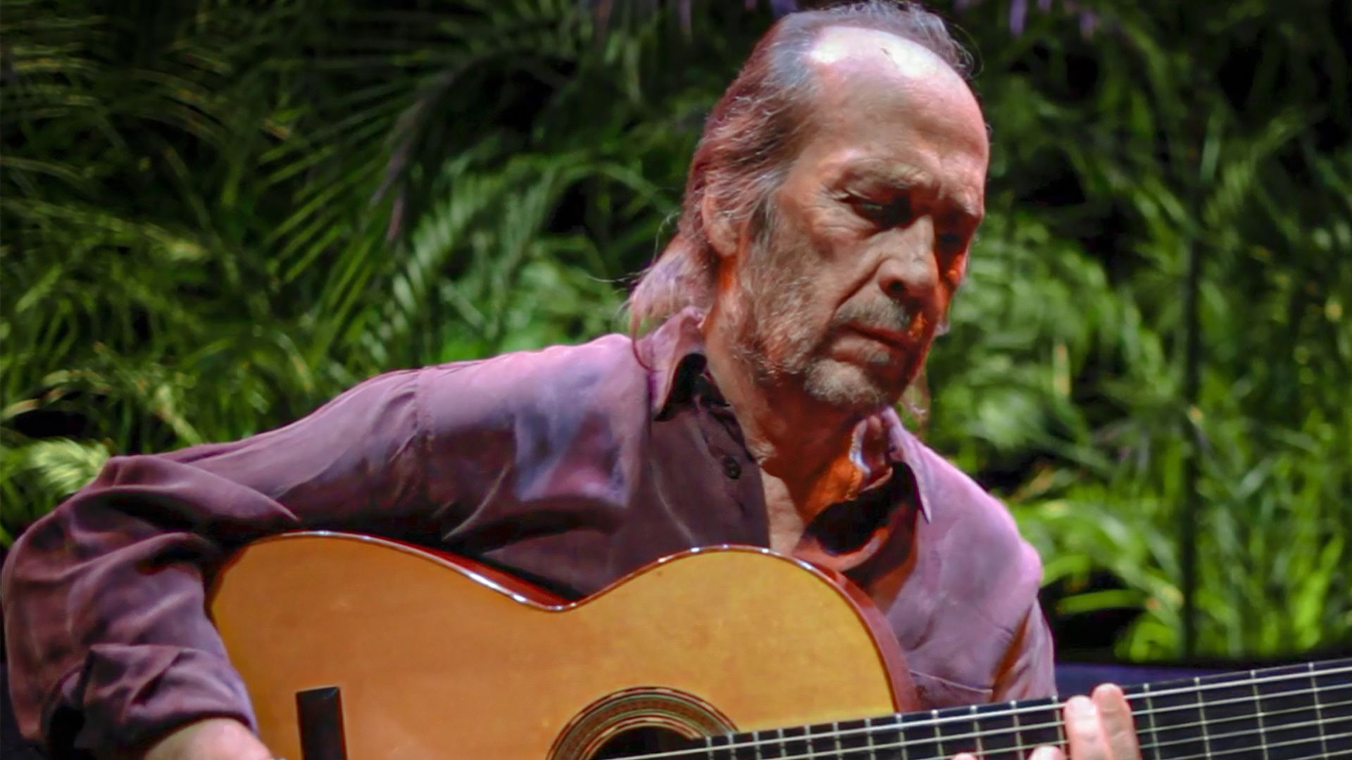 Paco de Lucía | La Búsqueda Paco de Lucía tocando la guitarra flamenca en un escenario
